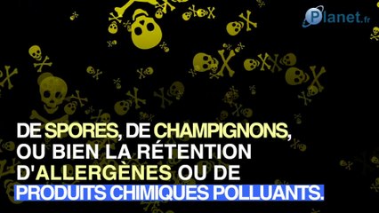 Combien de fois par jour faut-il aérer son logement ?