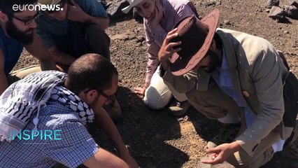 Might Al Harrah desert drawings reveal the Middle East’s forgotten past?