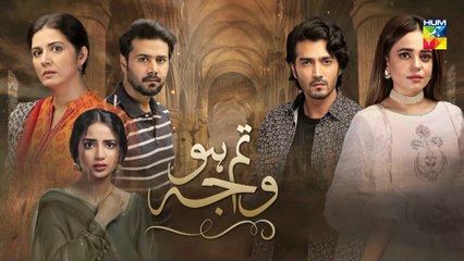 Tum Ho Wajah Episode 25 HUM TV Drama 23 October 2020