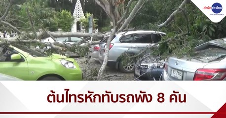 ต้นไทรยักษ์หักทับรถพัง 8 คัน เจ็บสาหัส 2 คน