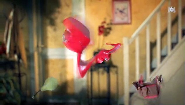 Générique de Scènes de ménages