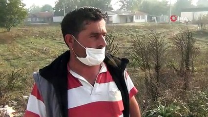 Bursa'da direğe çarpan otomobil sürücüsü kaçtı