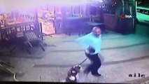 Köpeğiyle gezerken kedinin saldırısına uğrayan adam hayatının şokunu yaşadı