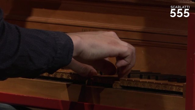 Scarlatti : Sonate en ré mineur K 213 L 108, par Justin Taylor - #Scarlatti555