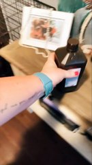 Sweet Dog Saved from Poisonous Toad