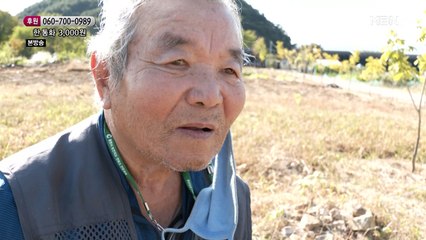 자신보다 아내를 위해 파지를 줍는 할아버지