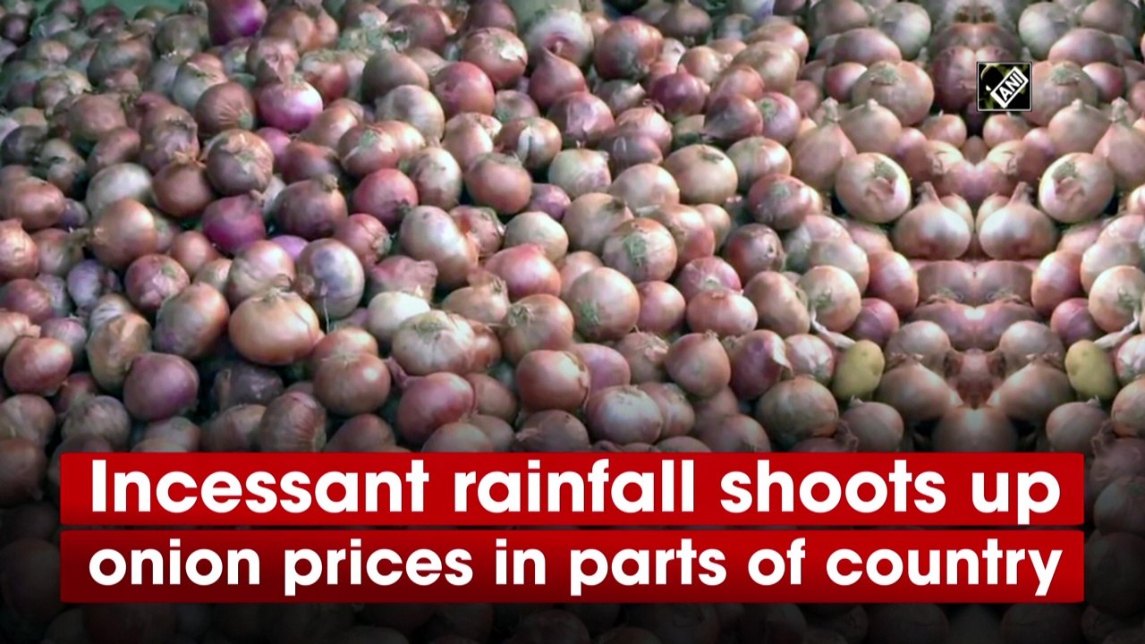 Incessant rainfall shoots up onion prices in pa...