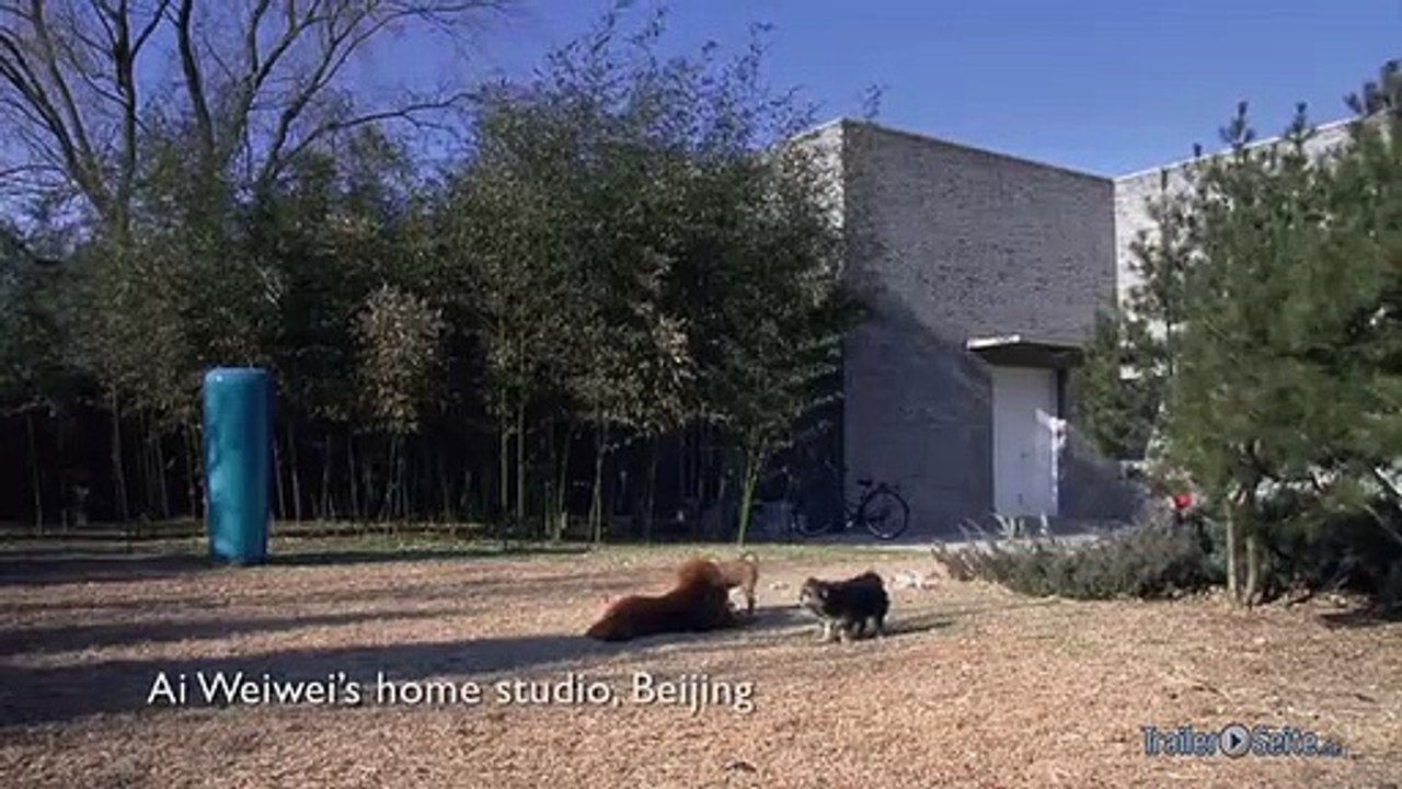 Ausschnitt aus Ai Weiwei Never Sorry: Katzen