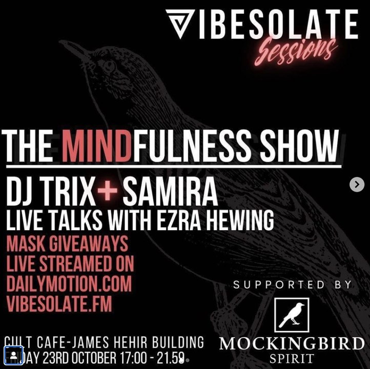 Vibesolate Sessions: The Mindfulness Show