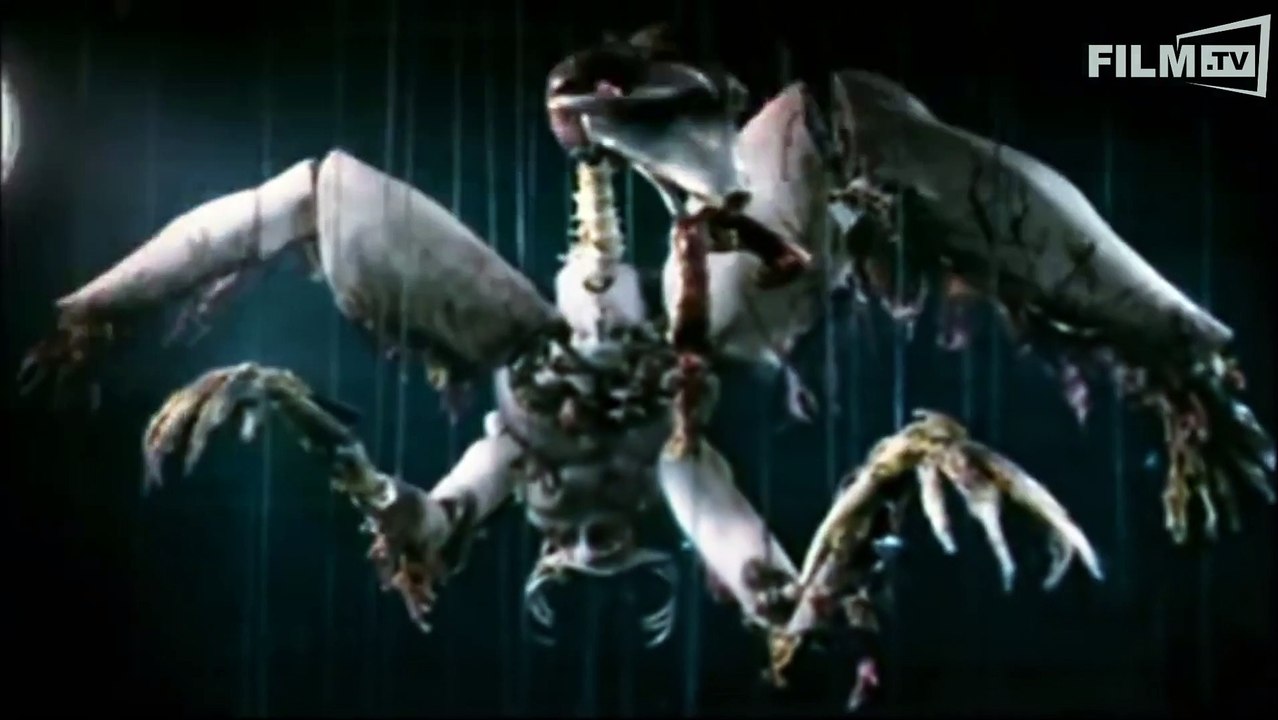 Anamorph Trailer (2008)