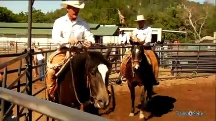 Ausschnitt aus Buck: Lernen