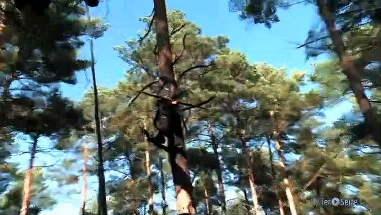 Die Schlacht im Wald aus Snow White And The Huntsman