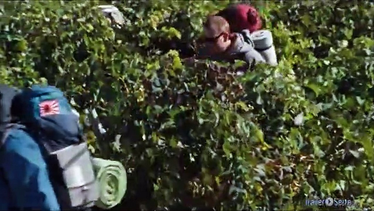 Ausschnitt aus dein weg: camino