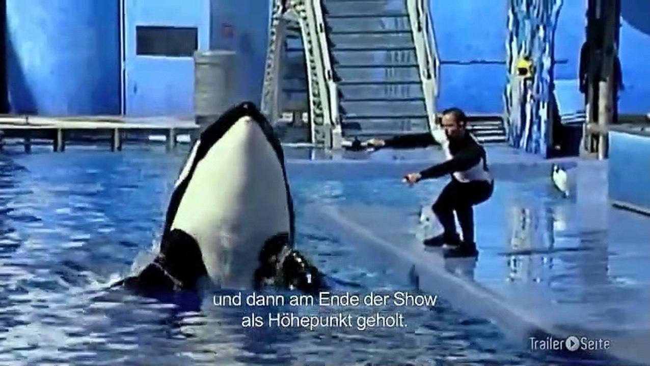 Ausschnitt aus Blackfish: Seaworld