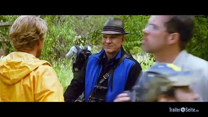 Ausschnitt aus Ein Jahr Vogelfrei: Brücke