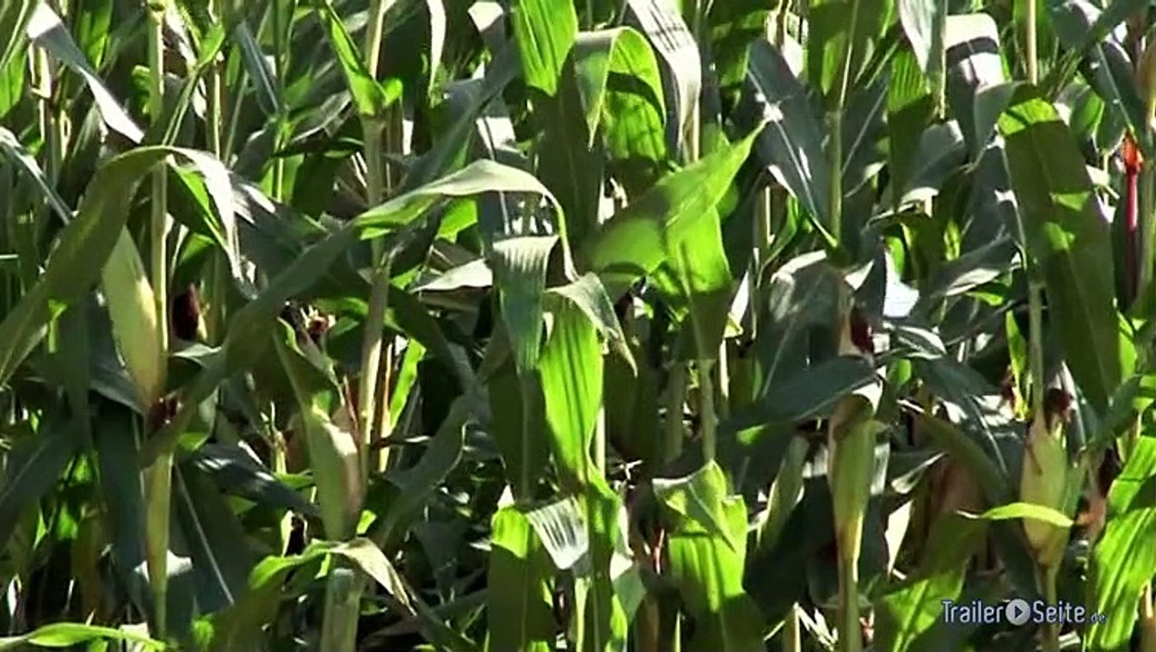 Revision Trailer (2012)