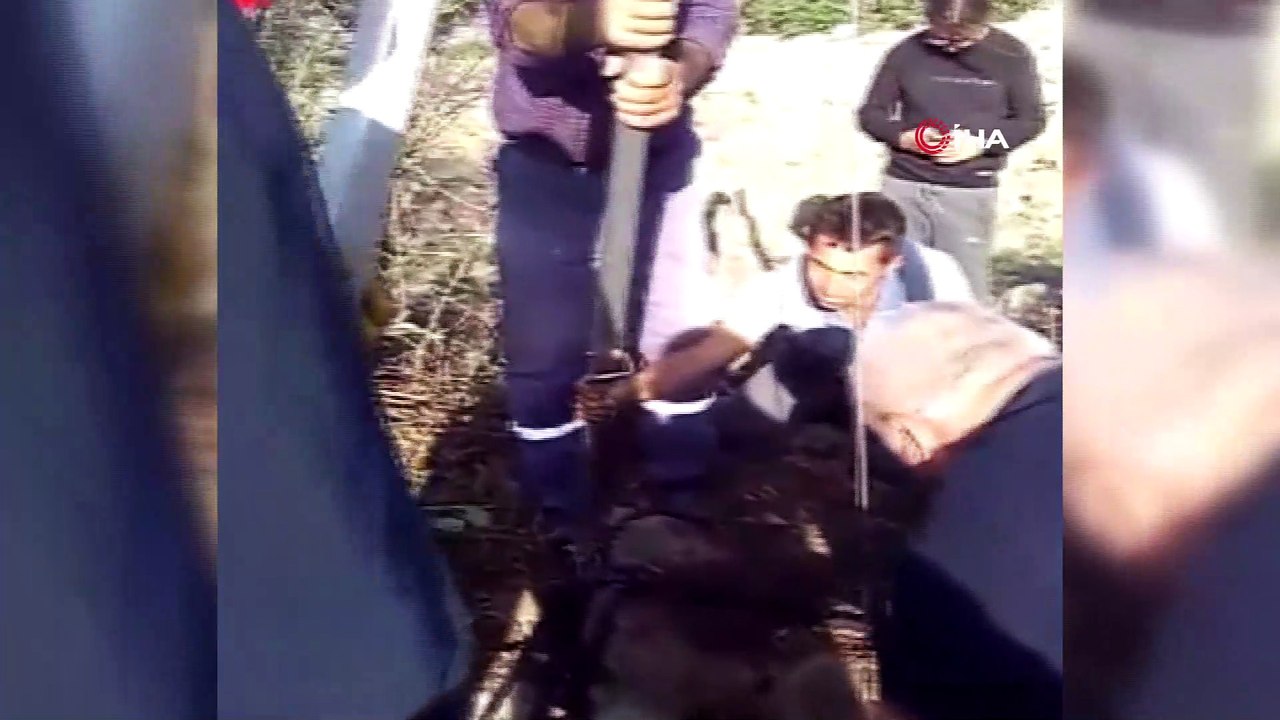 Kuyuya düşen dana makara sistemiyle kurtarıldı