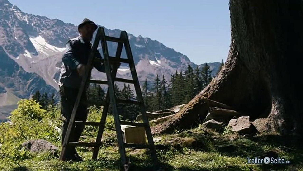 Erster Ausschnitt zu More Than Honey