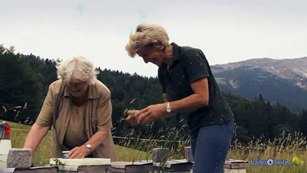 Zweiter Ausschnitt zu More Than Honey