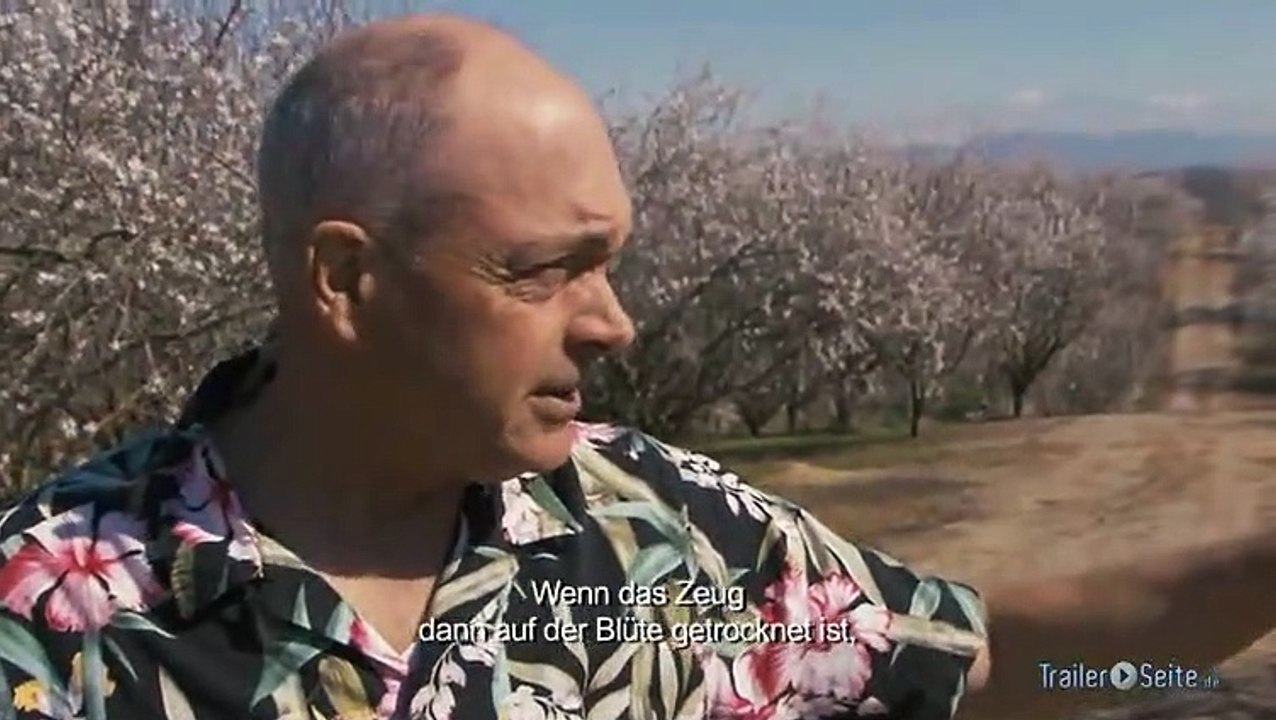 Vierter Ausschnitt zu More Than Honey