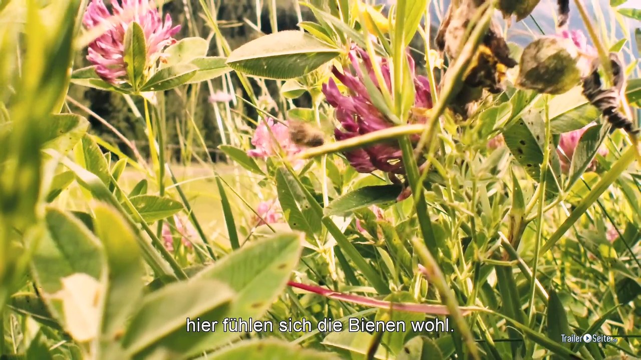 More Than Honey Trailer (2012)