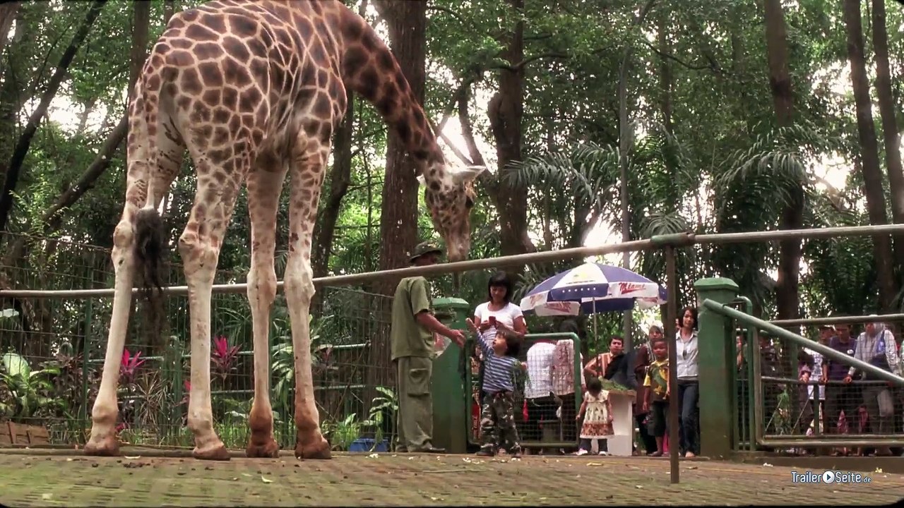 Die Nacht Der Giraffe Trailer (2013)