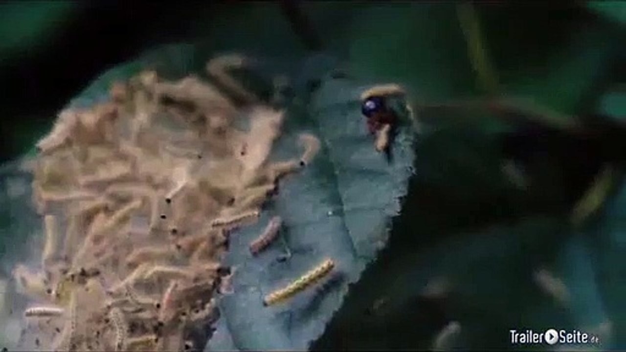 Ausschnitt aus Beasts Ot The Southern Wild: Sturm