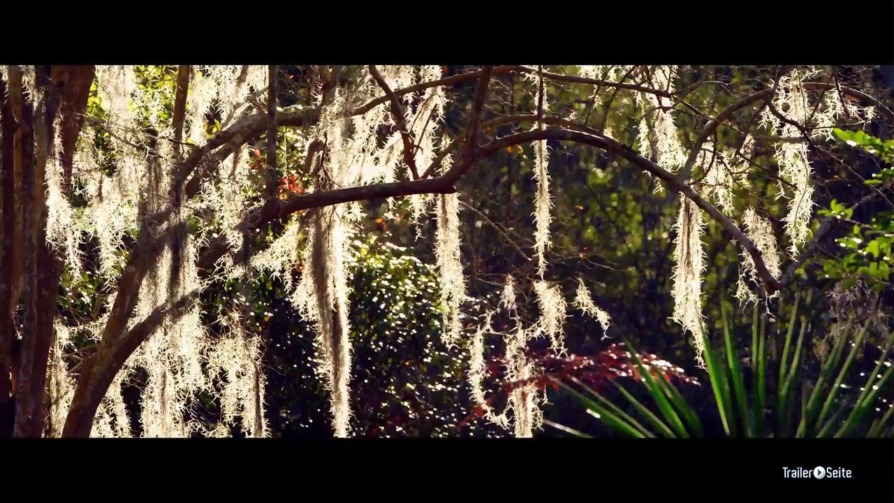 Das Haus Der Dämonen 2 Trailer (2013)