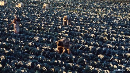 The Master Trailer und Filmkritik Deutsch German (2013)