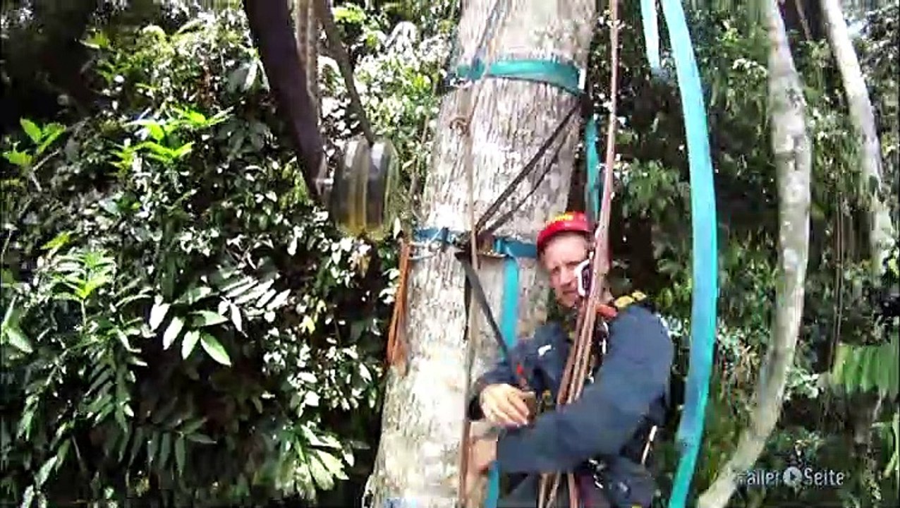 Backstage Blick zu Schimpansen