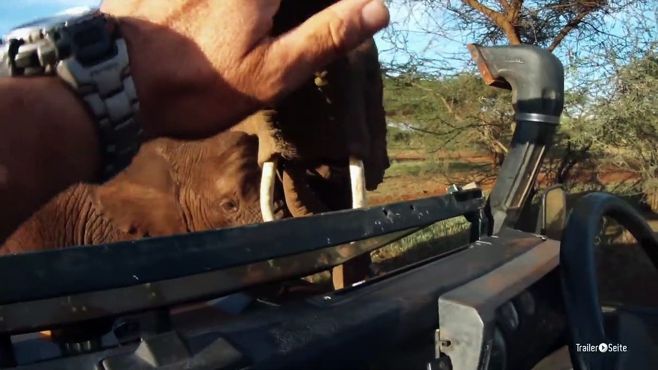 African Safari 3D Trailer Deutsch German (2013)