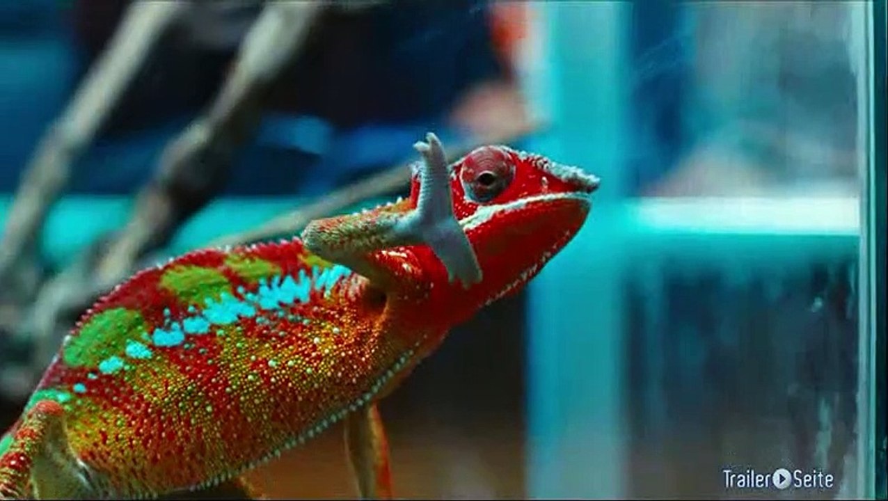 Ich Und Du Trailer (2013)