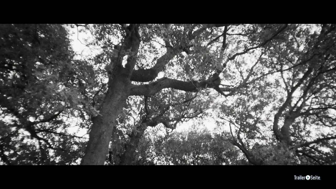 Das Mädchen Und Der Künstler Trailer (2013)