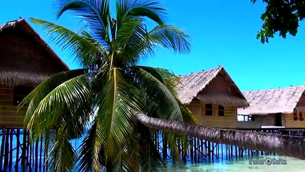 Papua 3D Trailer (2014)