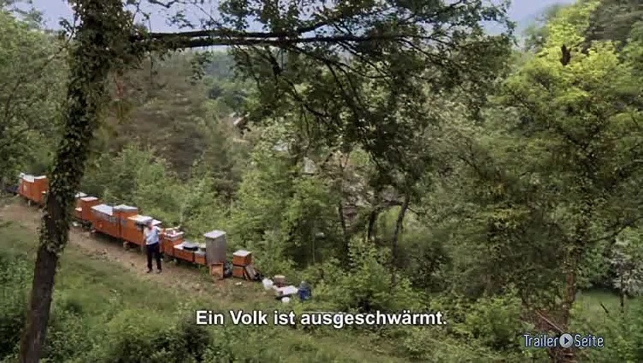 Ausschnitt aus Der Imker: Ausreißer