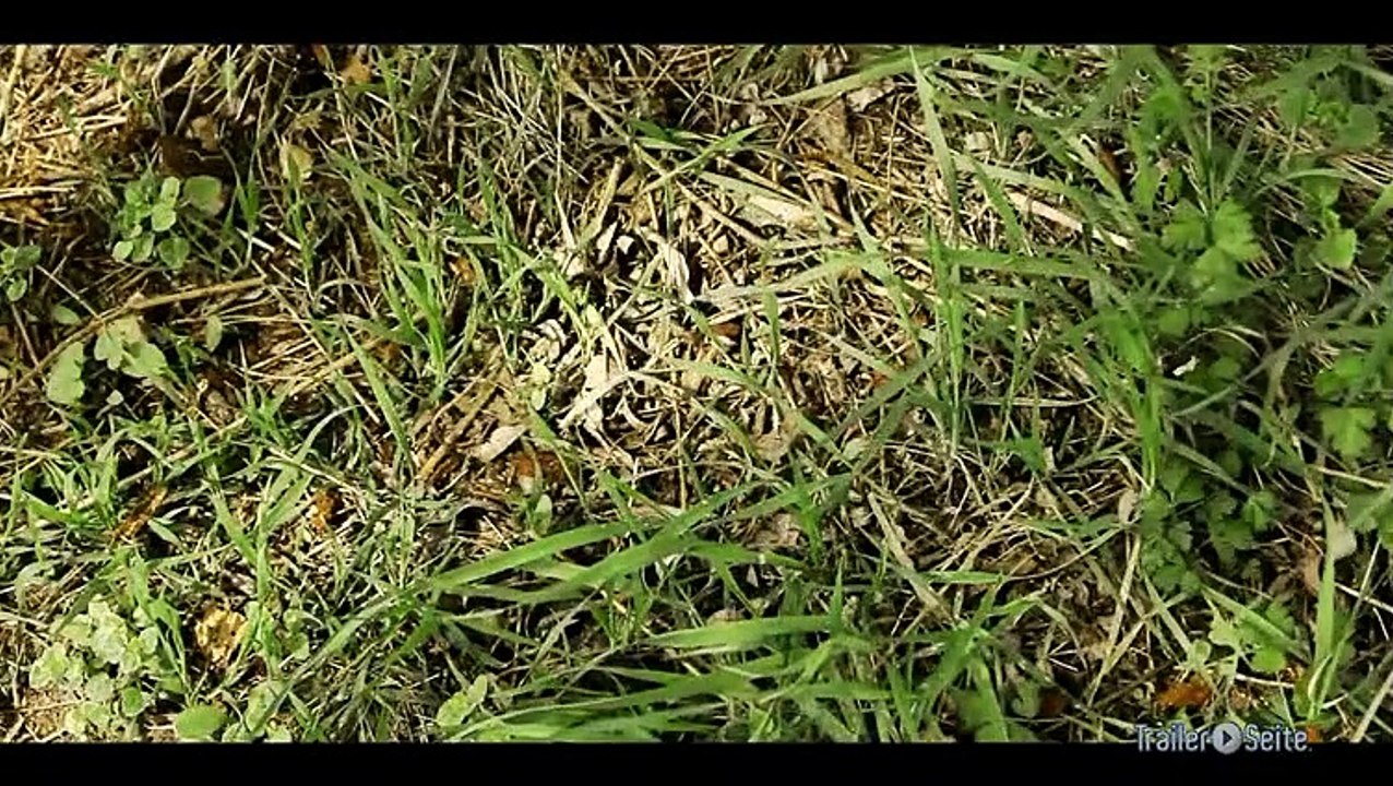 Ausschnitt aus Die Frau Des Polizisten: Tiere