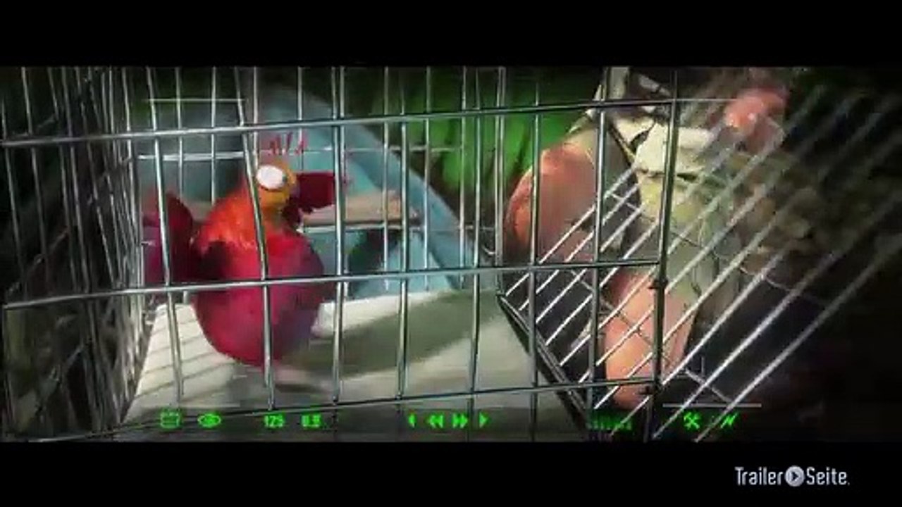 Ausschnitt aus Rio 2: Die Wachtel