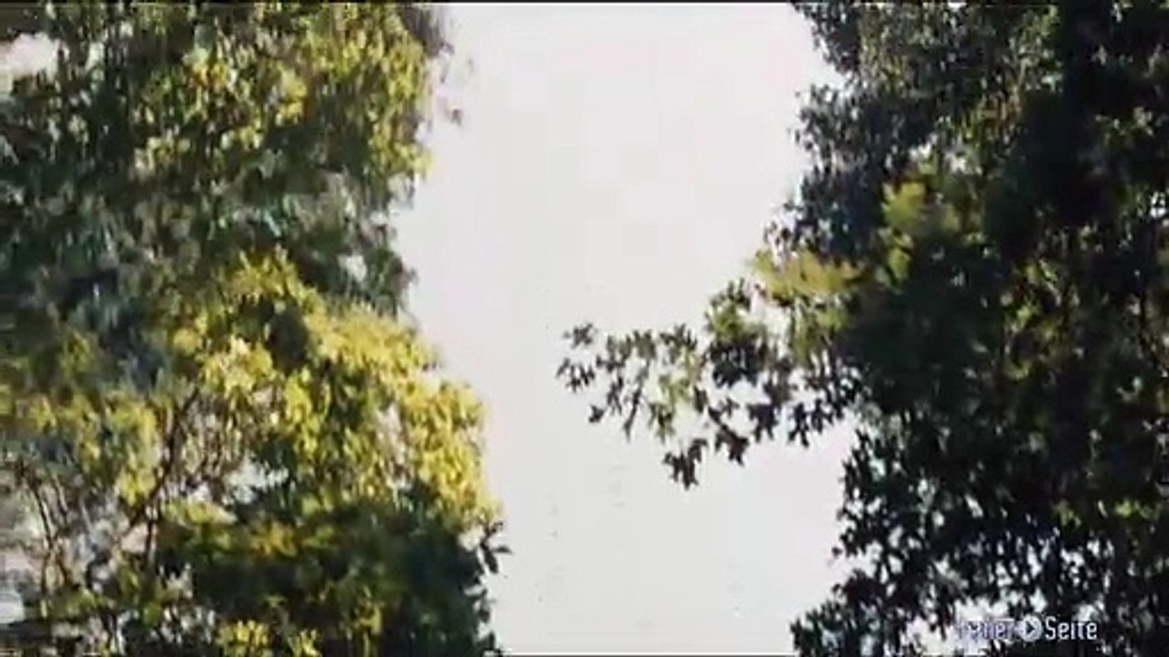 Ausschnitt aus Noah: Es Fängt An