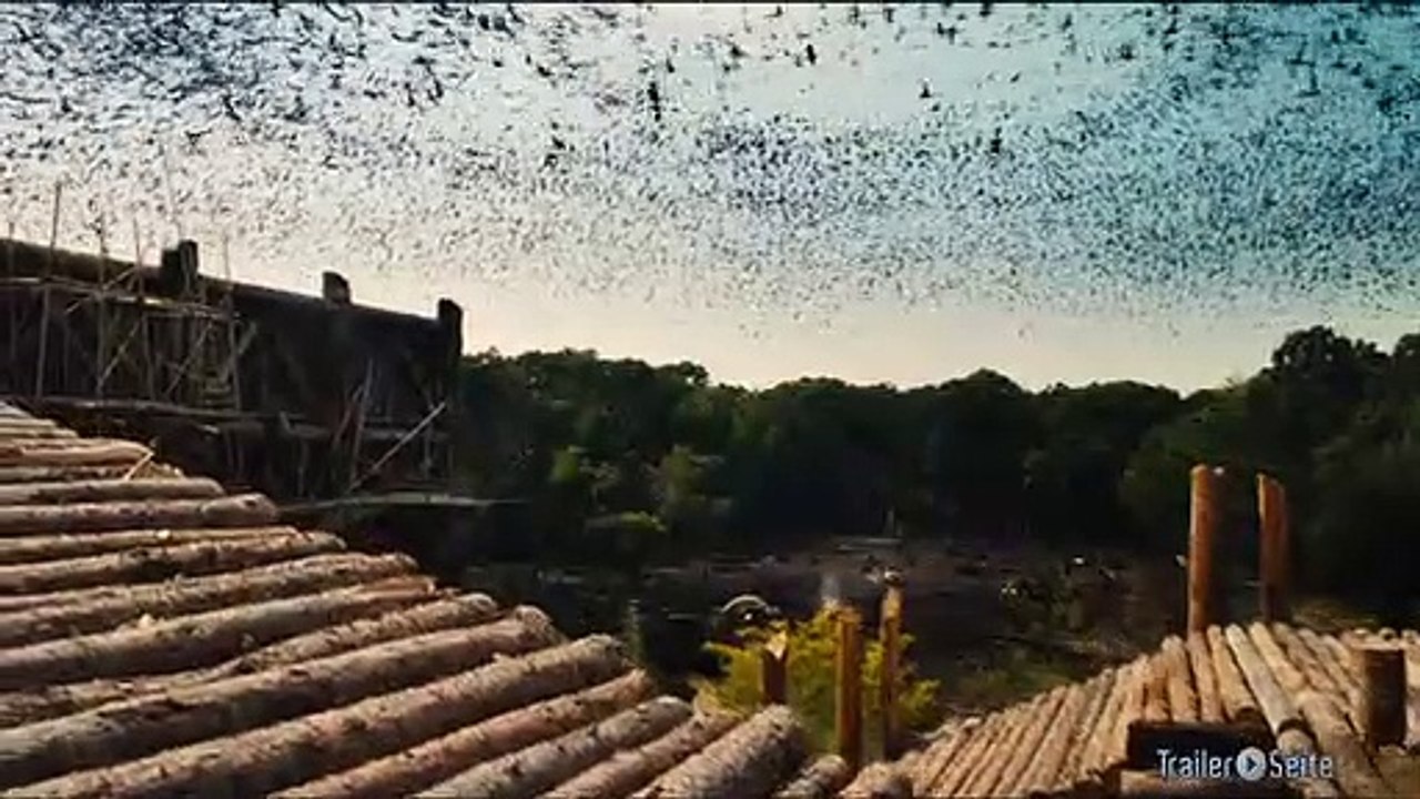 Ausschnitt aus Noah: Tiere