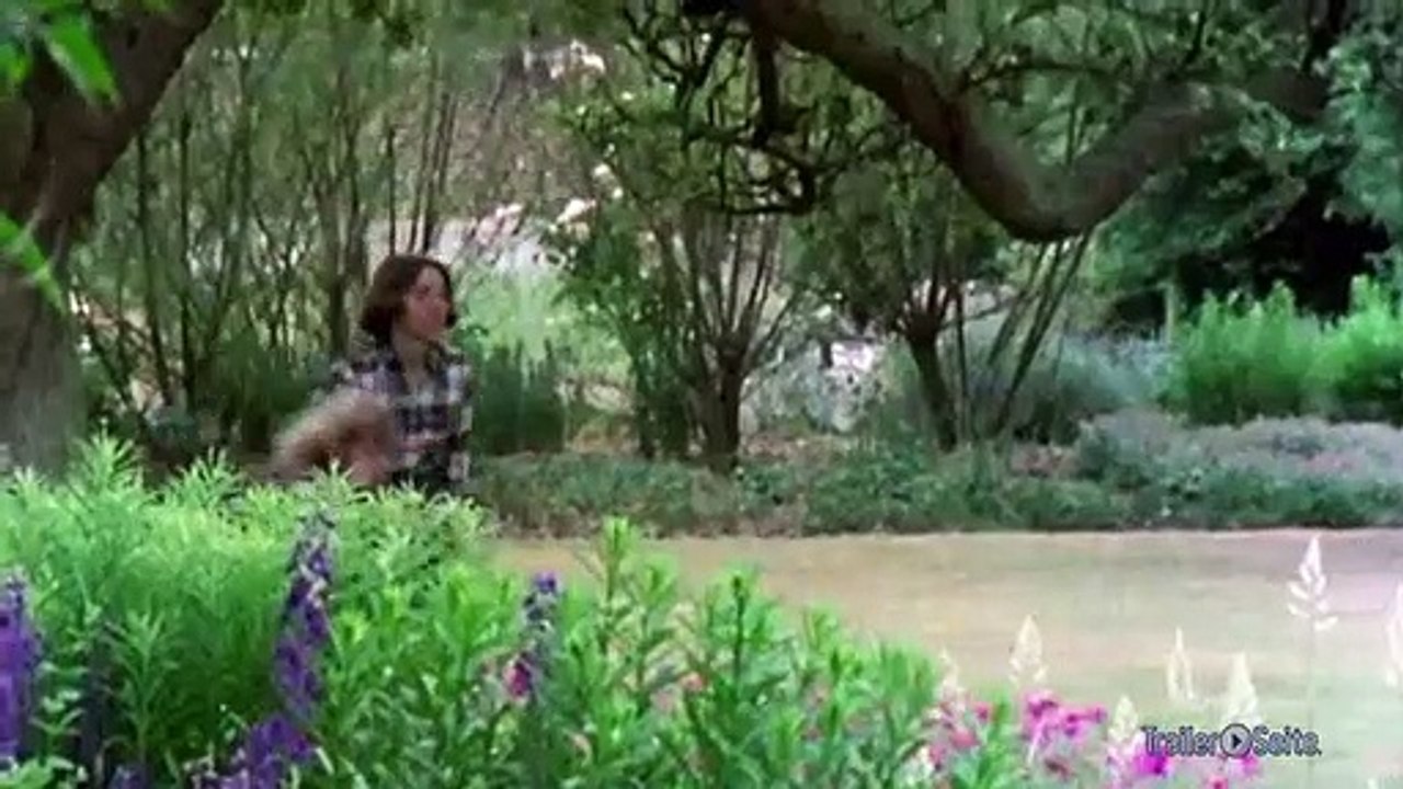 Hawking trailer (2014)