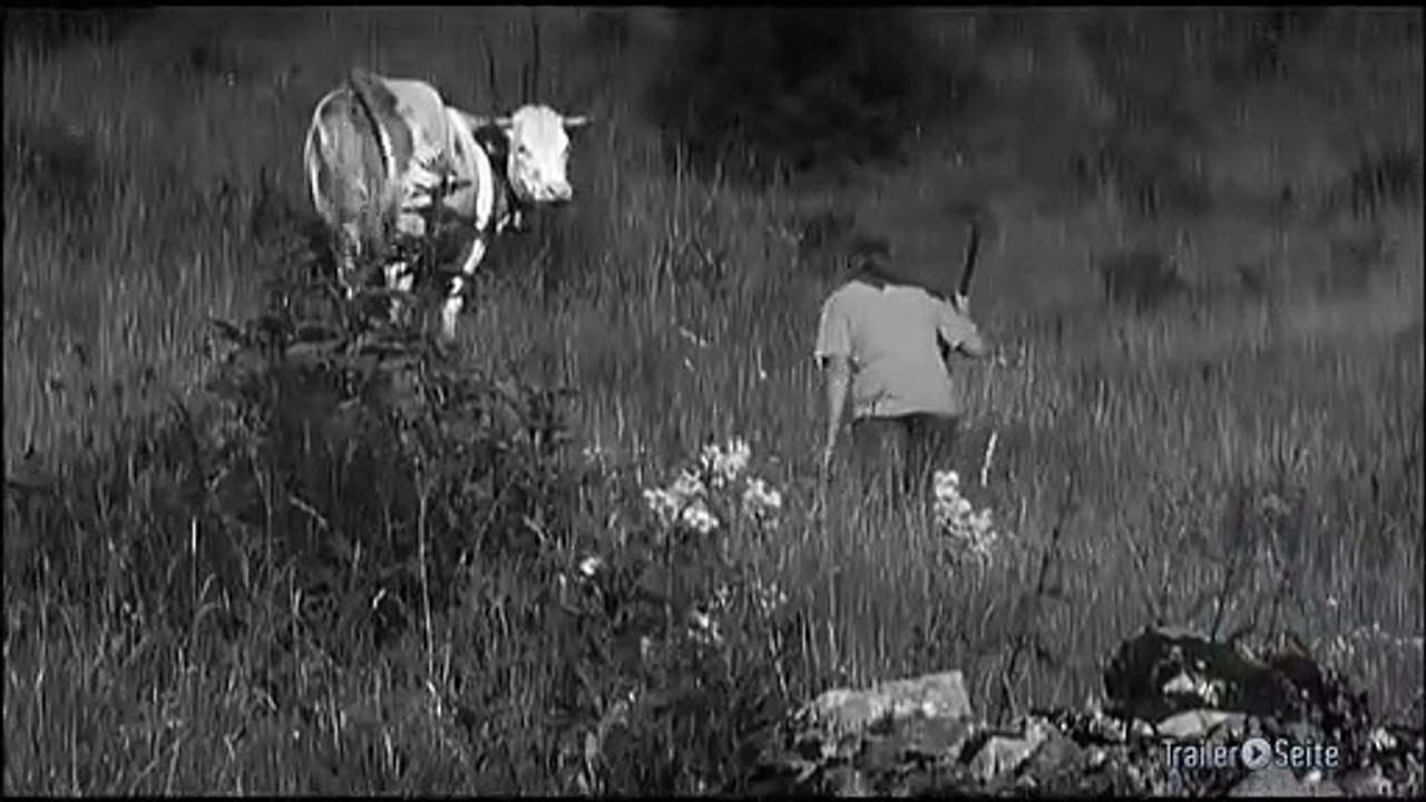 Still Trailer (2014)