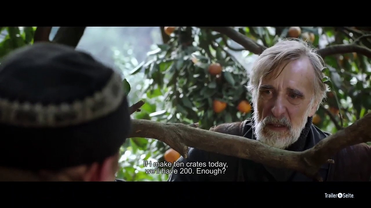 Tangerines Trailer (2014)