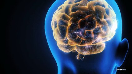 Special zu Lucy: Der Verstand