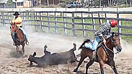 COLEO CATEGORÍA ABIERTA