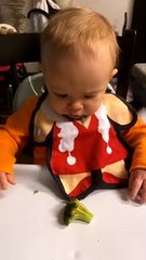 Baby Tries Broccoli