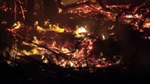 Mersin'de araştırma enstitüsü bahçesinde 3 ayrı noktada yangın çıktı