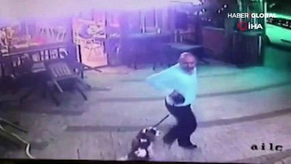 Köpeğini kucağına alarak kediden böyle kaçmaya çalıştı