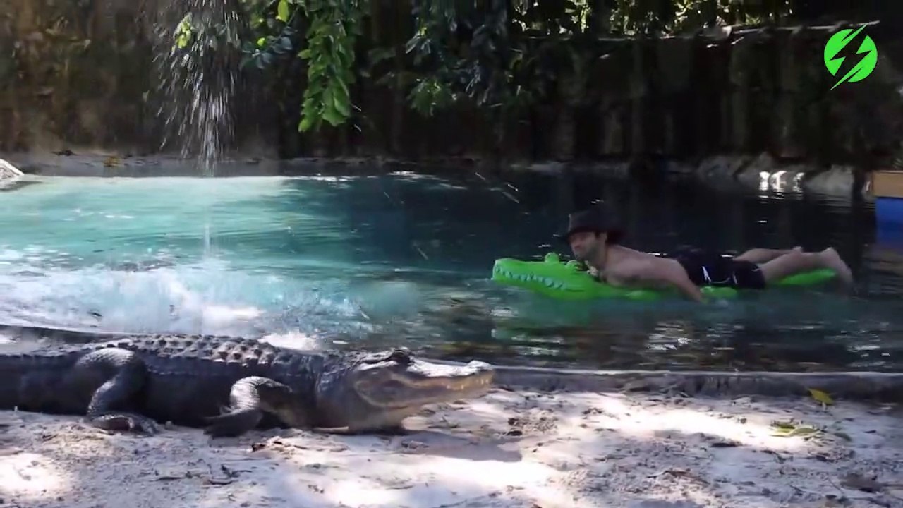 Il se baigne avec 2 crocodiles dans sa piscine