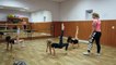 Stretching and flexibility exercises. Ballet Stretches. training in gymnastics