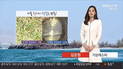 [날씨] 올가을 가장 강한 추위…서울 첫서리·첫얼음 관측